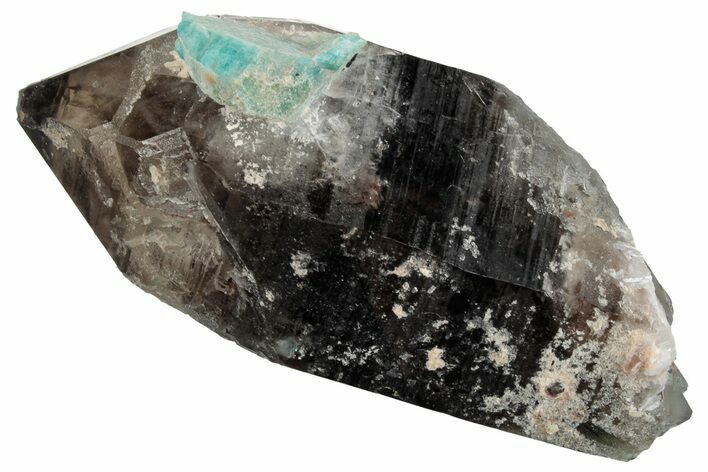 Dark Smoky Quartz with Amazonite - Lake George, Colorado #259960